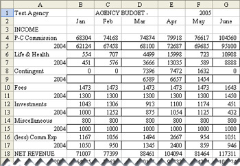 Agency Budgeter - Budget Worksheet